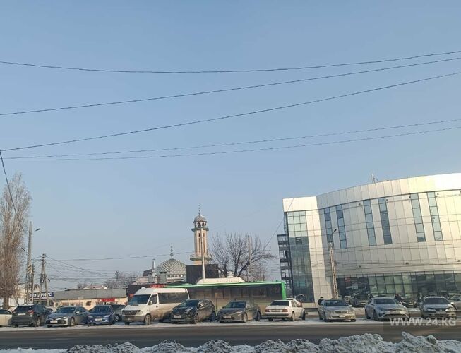 читателей 24-kg.com